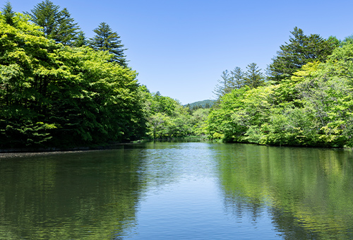 雲場池周りを散策