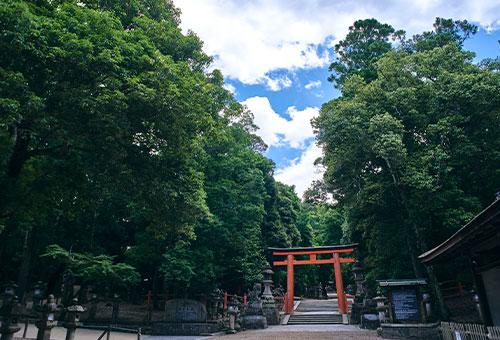 Visiting Kasugataisha Shrine